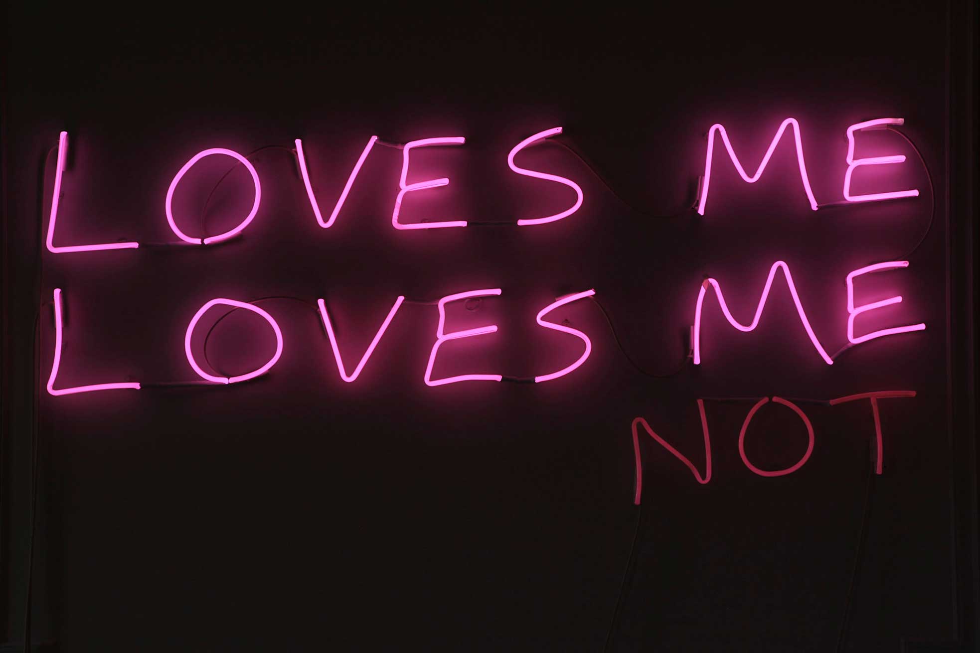 LOVES ME LOVES ME NOT