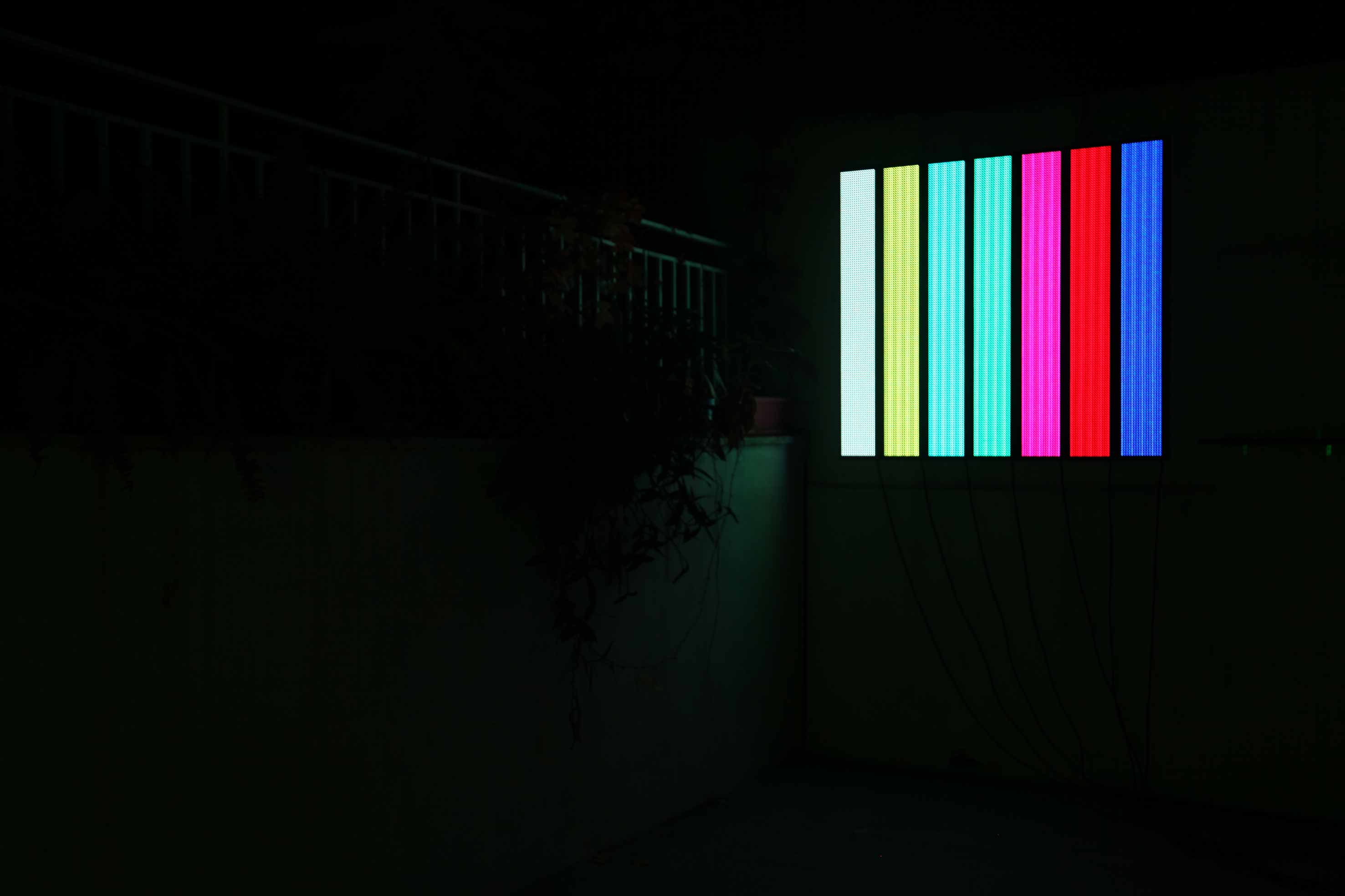 TRUE COLORS 
