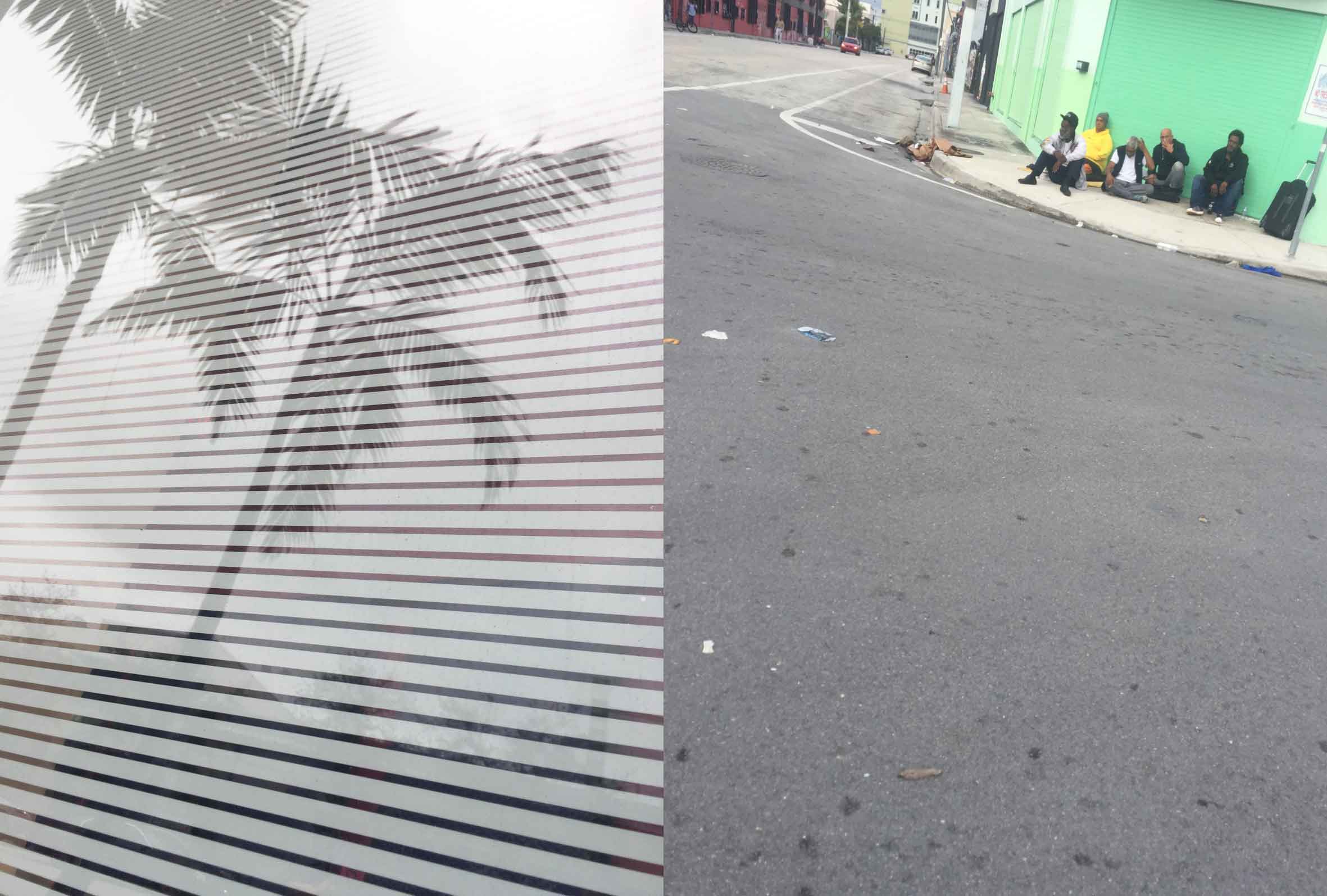 UNDER THE SHADOWS OF THE PALM TREES