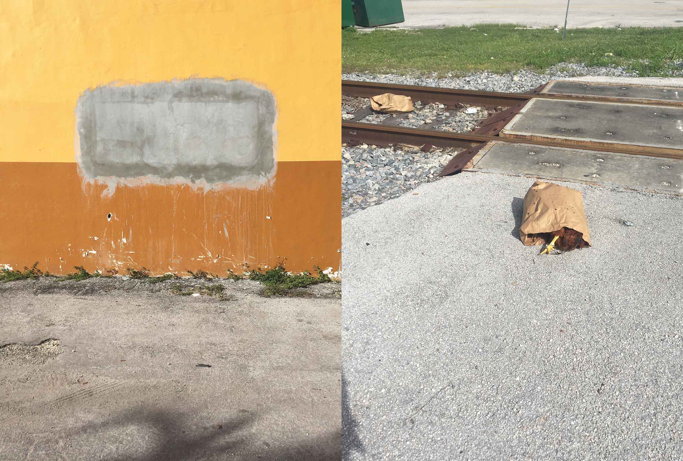 ΖΩΗ ΚΑΙ ΚΟΤΑ