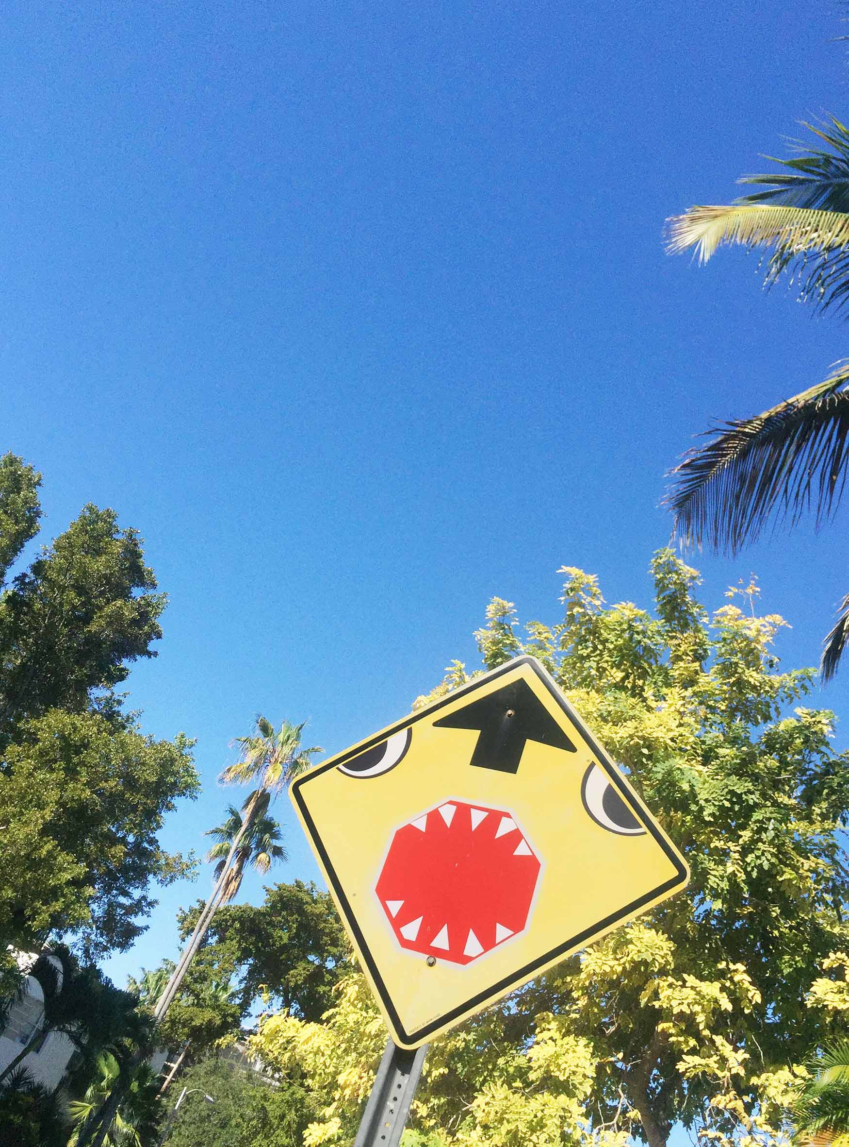 END OF THE ROAD FURTHER AHEAD